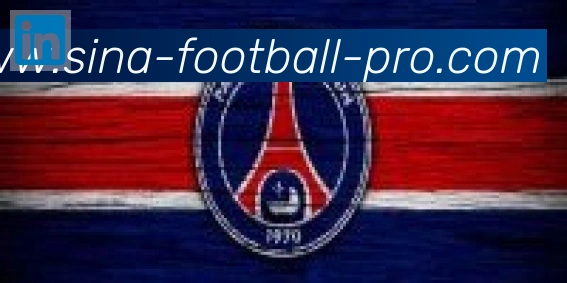 新浪体育合作伙伴