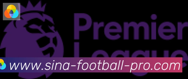 新浪体育合作伙伴