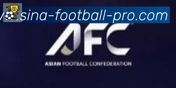 新浪体育合作伙伴